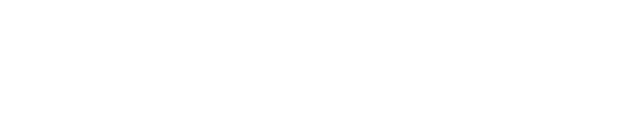 Schweizer Armee